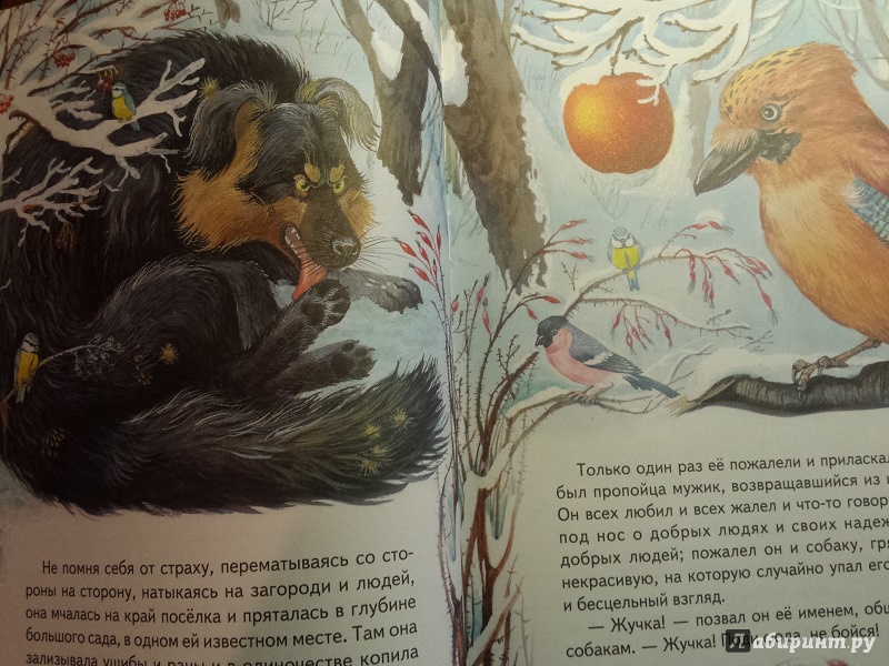 Иллюстрация 5 из 30 для Рассказы русских писателей о животных | Лабиринт - книги. Источник: Faina