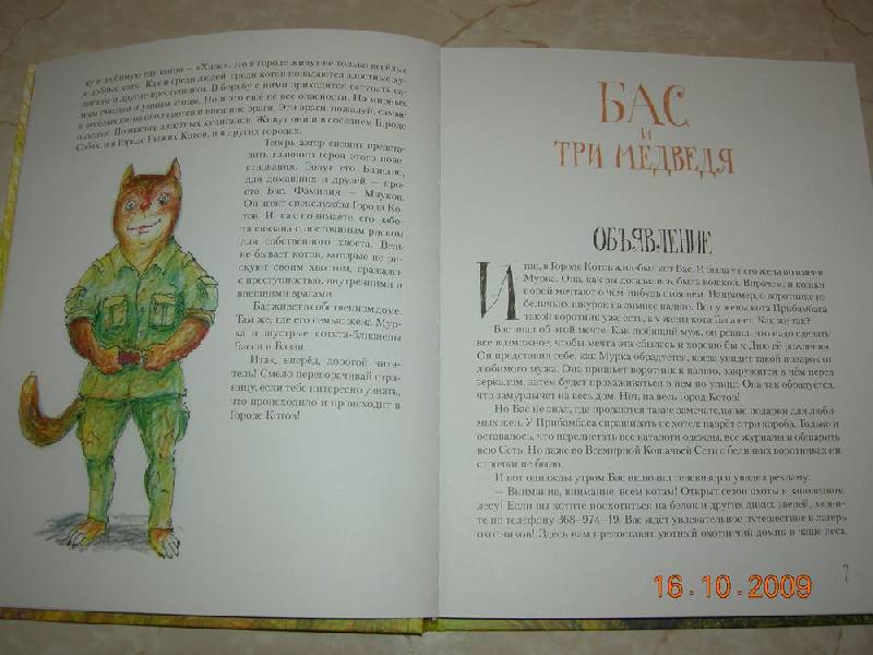 Иллюстрация 3 из 27 для Необыкновенные приключения кота Баса - Савва Шанаев | Лабиринт - книги. Источник: Соловей