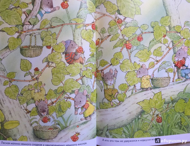 Иллюстрация 16 из 40 для 14 лесных мышей. Завтрак - Кадзуо Ивамура | Лабиринт - книги. Источник: Умная Дуня
