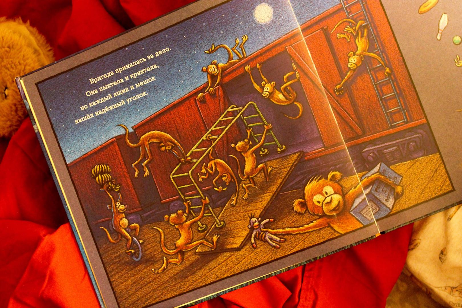 Иллюстрация 94 из 95 для Чудный поезд мчится в сон - Ринкер Даски | Лабиринт - книги. Источник: Fomina  Ksenia