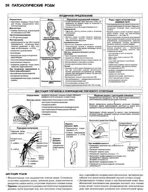 Иллюстрация 14 из 15 для Наглядное акушерство и гинекология - Норвиц, Шордж | Лабиринт - книги. Источник: Федосов  Прохор Сергеевич