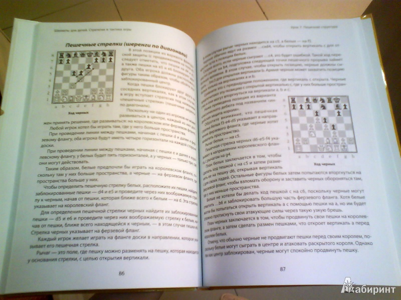 Иллюстрация 3 из 3 для Шахматы для детей. Стратегия и тактика игры - Тодд Бардвик | Лабиринт - книги. Источник: Мила