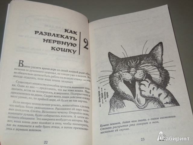 Иллюстрация 32 из 35 для Как жить с кошкой-невротиком - Стивен Бейкер | Лабиринт - книги. Источник: Iwolga