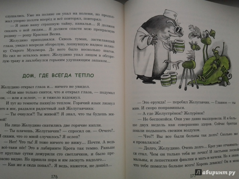 Иллюстрация 28 из 64 для Восемь волшебных желудей, или Приключения Желудино и его младших братьев - Юрий Дьяконов | Лабиринт - книги. Источник: Olga