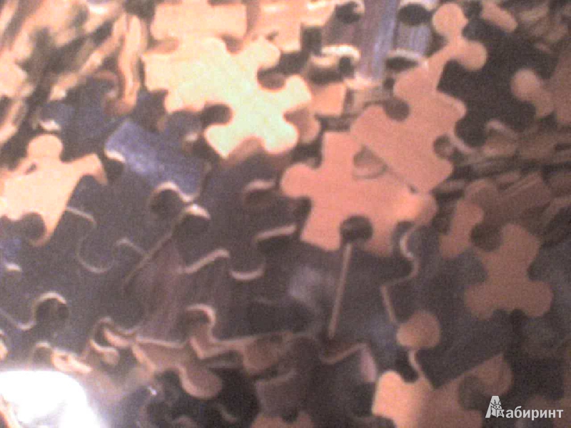 Иллюстрация 6 из 18 для Puzzle-1000 "Генуя в сумерках, Victoria Frances" (10050) | Лабиринт - игрушки. Источник: Роза с шипами