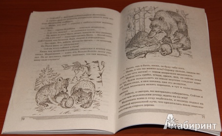 Иллюстрация 13 из 14 для Какие звери в лесу? Книга для воспитателей, гувернеров и родителей - Татьяна Шорыгина | Лабиринт - книги. Источник: loko-moko
