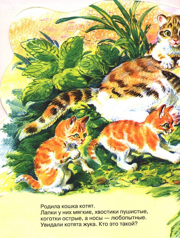 Иллюстрация 1 из 2 для Веселые котята | Лабиринт - книги. Источник: OOlga