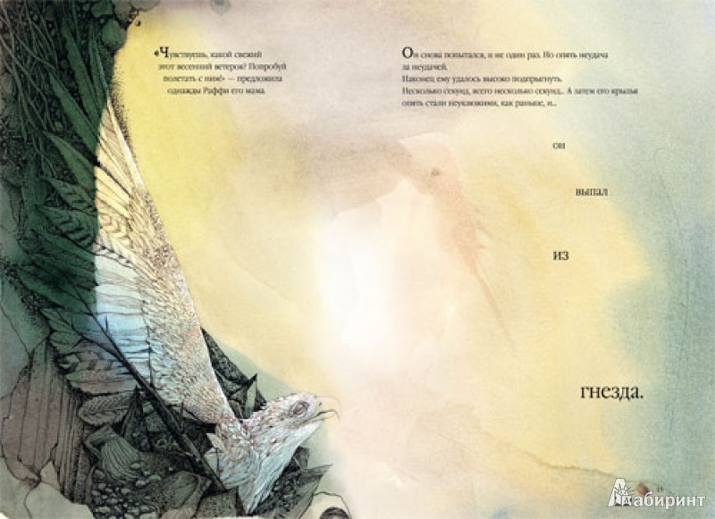 Иллюстрация 4 из 39 для Раффи, белоснежный орёл - Рэйнвиль, Джеминиани | Лабиринт - книги. Источник: mif