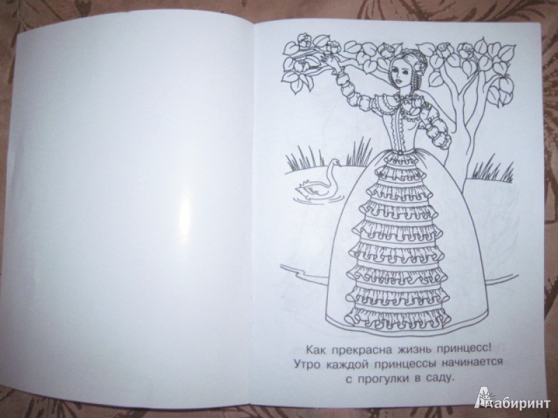 Иллюстрация 4 из 21 для Мечты принцесс. Сиреневая книжка. Раскраска | Лабиринт - книги. Источник: Ежова  Светлана