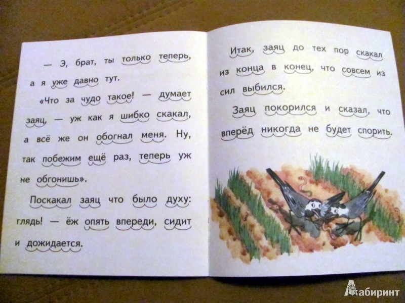 Иллюстрация 7 из 31 для Ёж и заяц - Лев Толстой | Лабиринт - книги. Источник: Oho  Oho
