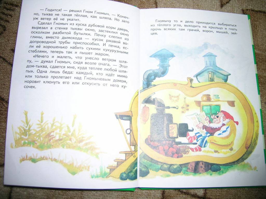 Иллюстрация 3 из 4 для Гном Гномыч и Изюмка - Агнеш Балинт | Лабиринт - книги. Источник: HappyJul