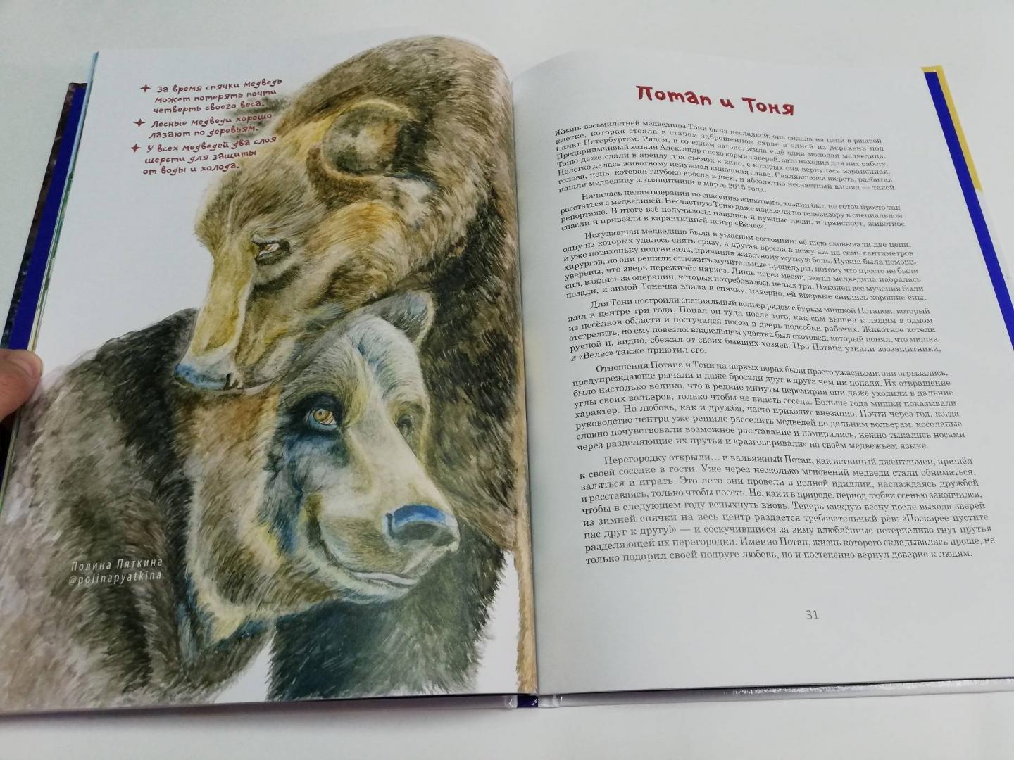 Иллюстрация 13 из 45 для #ДругЗаДруга. Книга о дружбе животных и людей - Кристина Кретова | Лабиринт - книги. Источник: dbyyb
