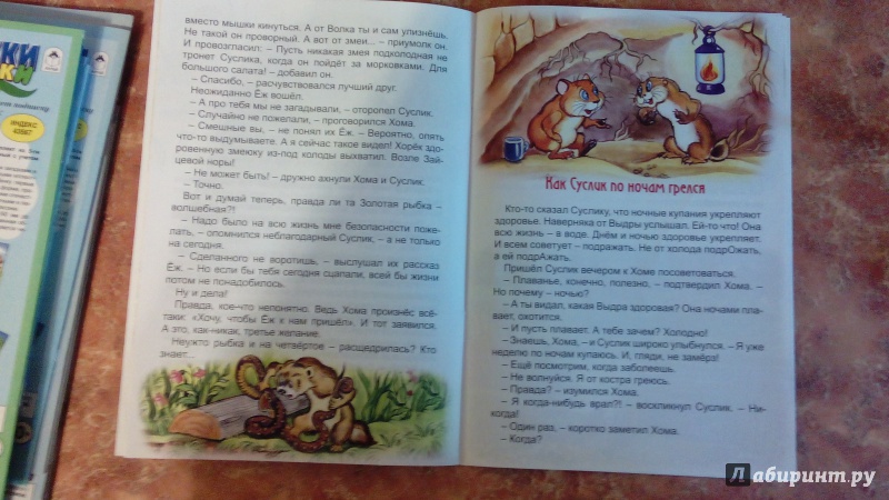 Иллюстрация 5 из 24 для Как Хома Золотую рыбку поймал - Альберт Иванов | Лабиринт - книги. Источник: Косова  Мария