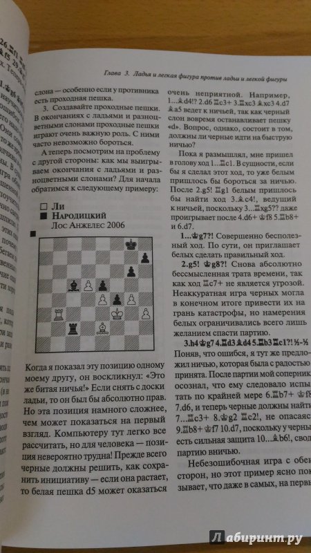 Иллюстрация 17 из 34 для Шахматы. Мастерство игры в эндшпиле - Даниил Народицкий | Лабиринт - книги. Источник: Wiseman
