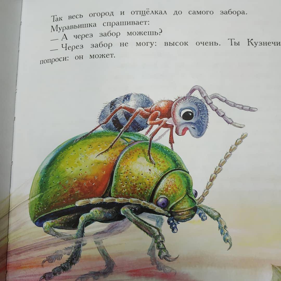 Иллюстрация 21 из 36 для Сказки для детей - Виталий Бианки | Лабиринт - книги. Источник: Отзывы читателей