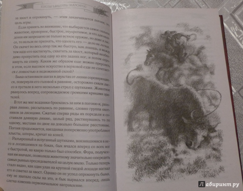 Иллюстрация 7 из 17 для Белый вождь - Рид Майн | Лабиринт - книги. Источник: Кондрашева  Анна