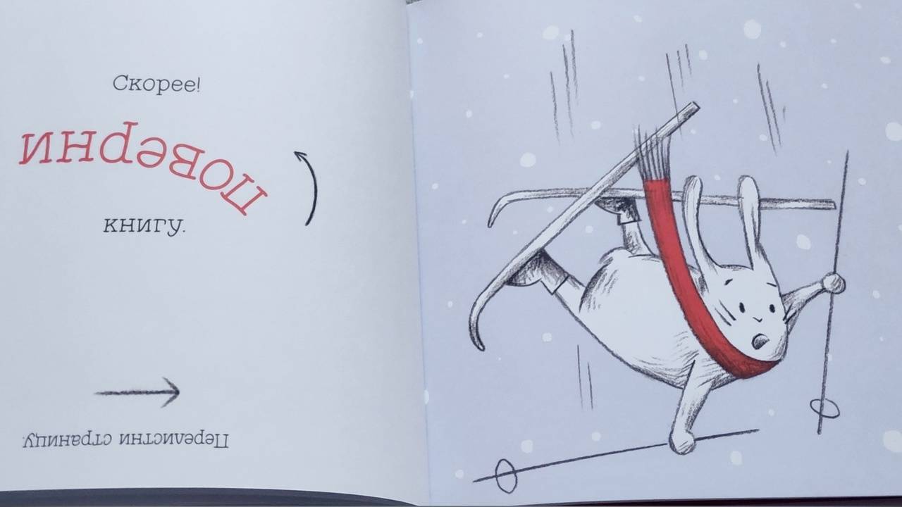 Иллюстрация 65 из 72 для Поехали! Лыжное приключение кролика - Клаудиа Руэда | Лабиринт - книги. Источник: Исмайылова Марина