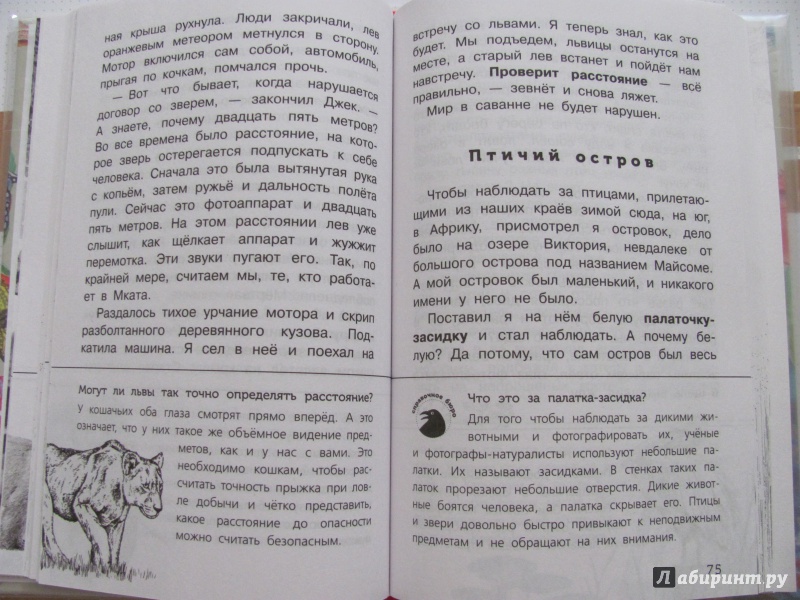 Иллюстрация 42 из 65 для Живые домики. С вопросами и ответами для почемучек - Сахарнов, Мосалов | Лабиринт - книги. Источник: Гончарова  Виктория Александровна