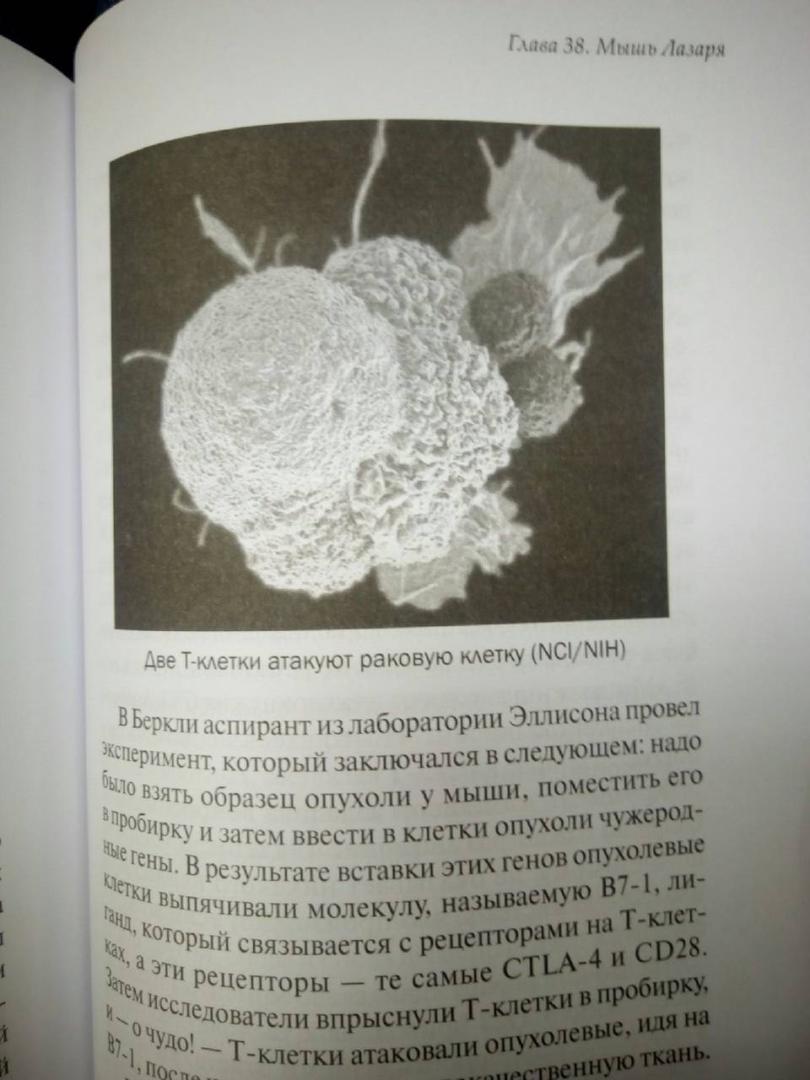 Иллюстрация 7 из 8 для Элегантная защита: новые знания об иммунной системе - Мэтт Риктел | Лабиринт - книги. Источник: Sirina
