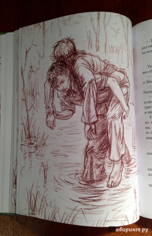 Иллюстрация 39 из 74 для Болотные робинзоны - Софья Радзиевская | Лабиринт - книги. Источник: Псевдоним