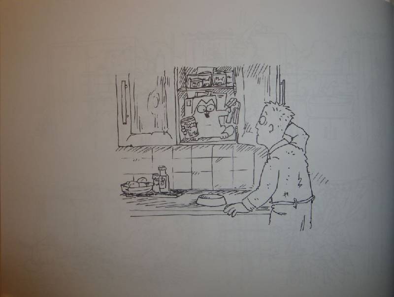 Иллюстрация 42 из 46 для Кот Саймона - Саймон Тофилд | Лабиринт - книги. Источник: В.  Инна
