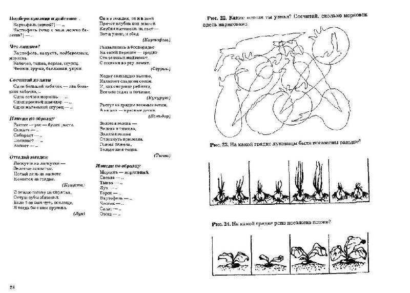 Иллюстрация 12 из 14 для Развитие речи и познавательных способностей дошкольников 6-7 лет - Карпова, Мамаева | Лабиринт - книги. Источник: Юта