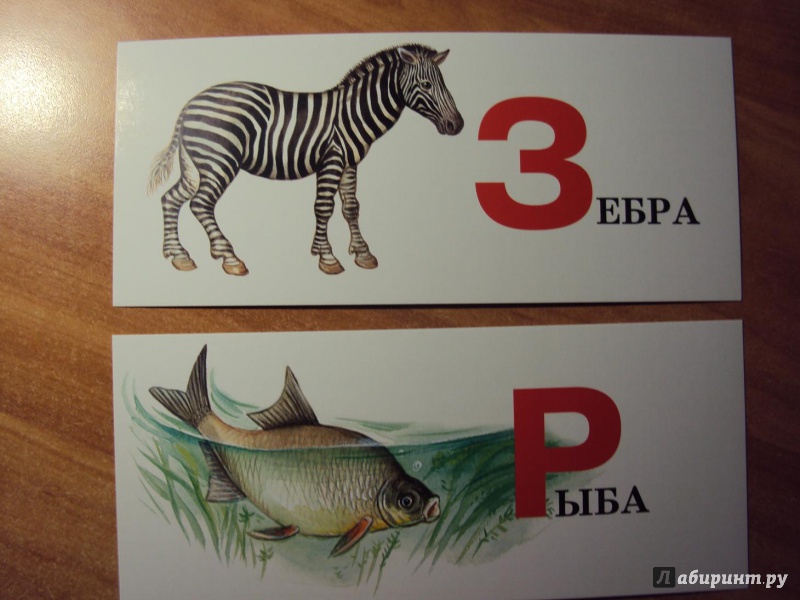 Иллюстрация 7 из 8 для Учим азбуку. Набор карточек | Лабиринт - игрушки. Источник: mari-nulya