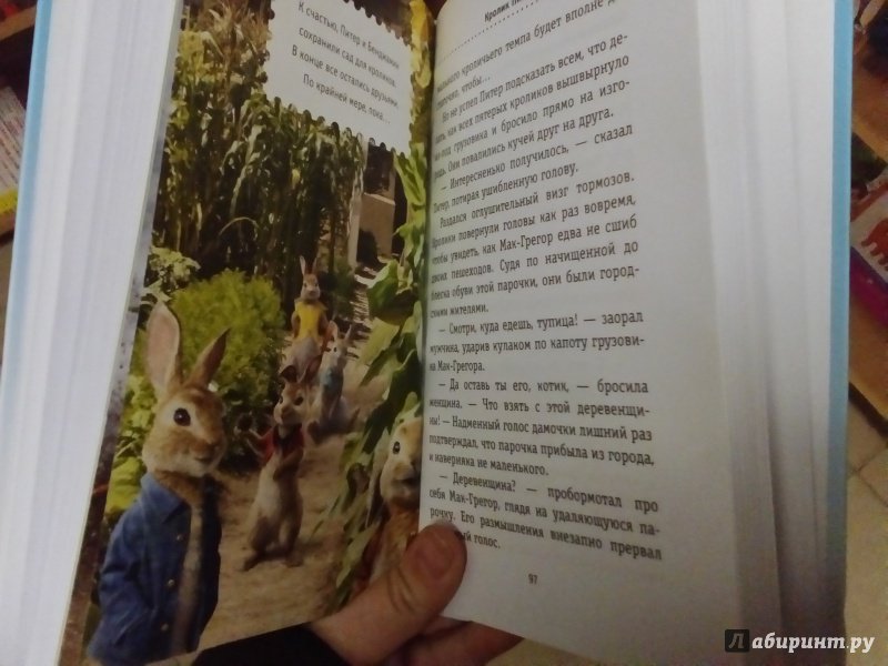 Иллюстрация 14 из 31 для Приключения кролика Питера | Лабиринт - книги. Источник: Юлия