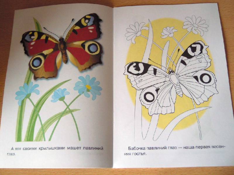 Иллюстрация 3 из 6 для Раскраска. Бабочки | Лабиринт - книги. Источник: Iwolga