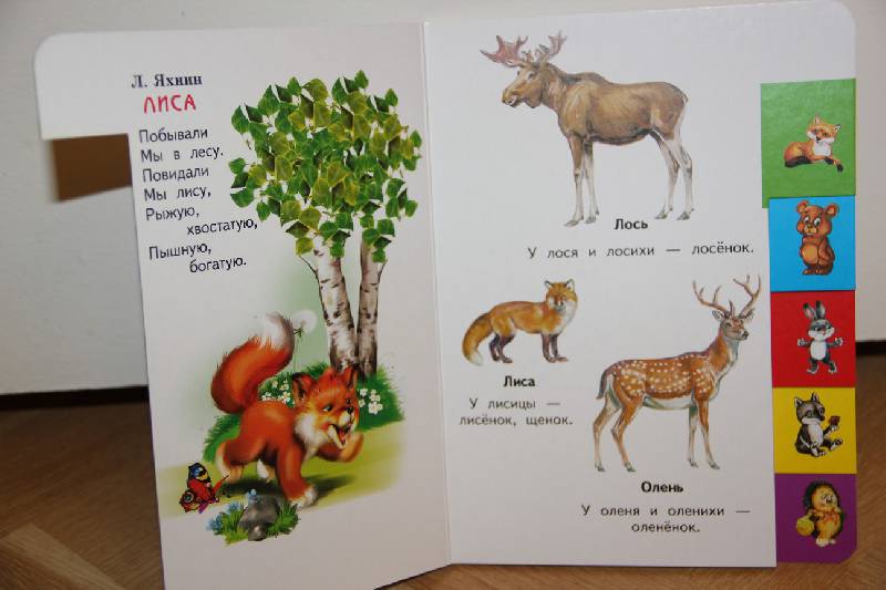 Иллюстрация 3 из 9 для Лесные животные в стихах и картинках | Лабиринт - книги. Источник: Vilvarin  Laurea