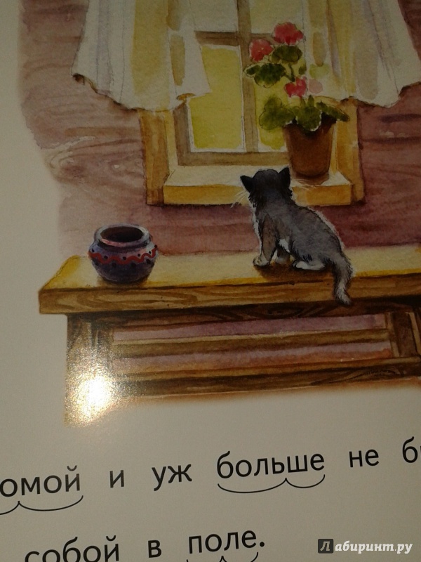 Иллюстрация 13 из 30 для Котёнок - Лев Толстой | Лабиринт - книги. Источник: Написатель