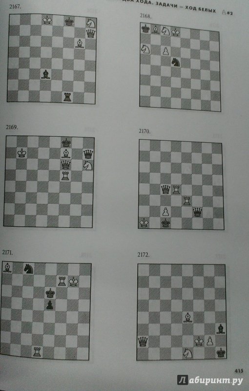 Иллюстрация 15 из 16 для Шахматы. 5334 задачи, комбинации и партии - Ласло Полгар | Лабиринт - книги. Источник: Савчук Ирина