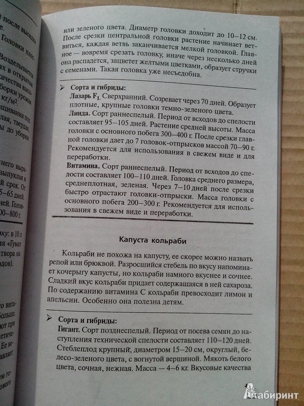 Иллюстрация 7 из 26 для Сезонные работы в саду и огороде. Календарь работ - Ганичкина, Ганичкин | Лабиринт - книги. Источник: Richy_mommy