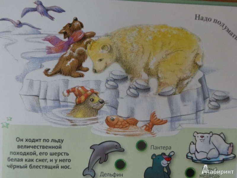 Иллюстрация 16 из 42 для Для малышей загадки о животных | Лабиринт - книги. Источник: Руматочка