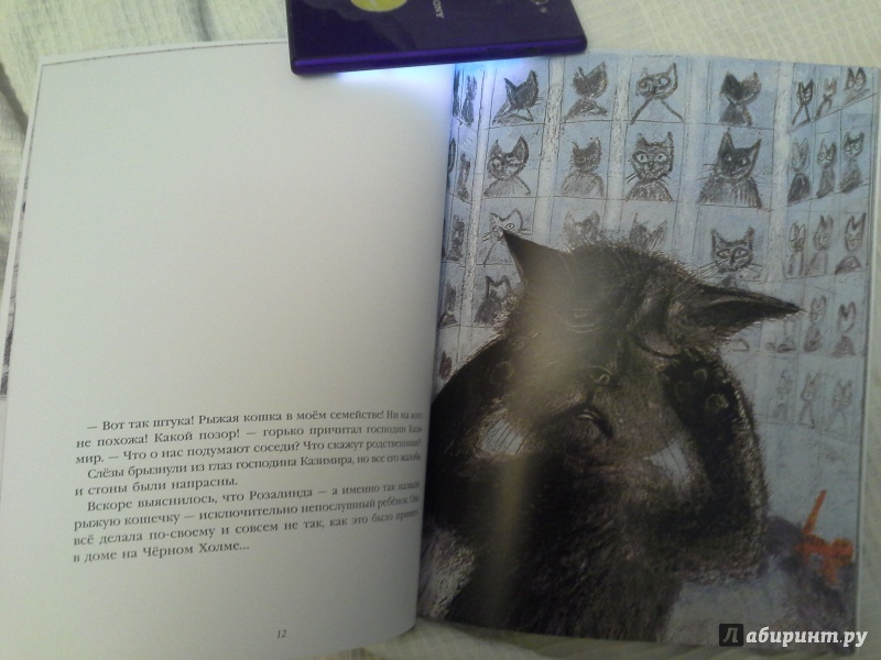 Иллюстрация 33 из 33 для История про кошку Розалинду, непохожую на других - Петр Вилкон | Лабиринт - книги. Источник: Балукова  Юлия
