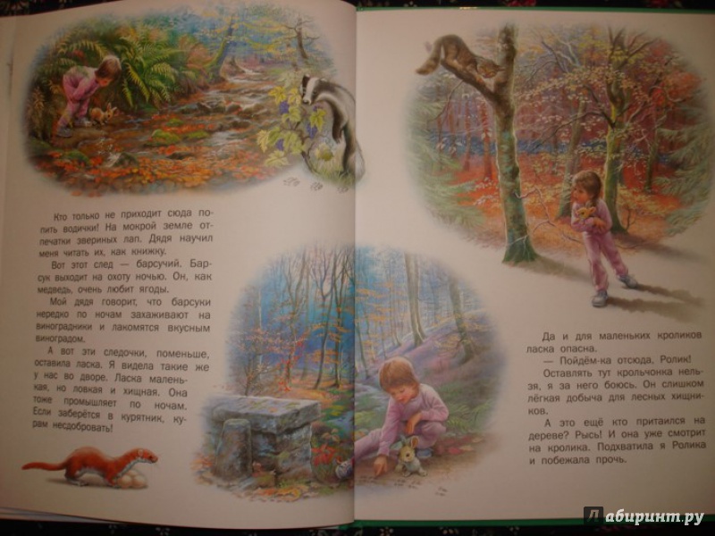 Иллюстрация 11 из 45 для Маруся - подружка всех зверят. В лесу. В деревне - Делаэ, Марлье | Лабиринт - книги. Источник: Сорокина  Лариса