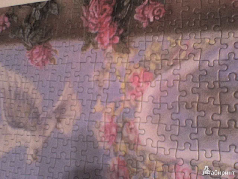 Иллюстрация 9 из 15 для Puzzle-1500 "Нежная любовь" (C-151165) | Лабиринт - игрушки. Источник: Роза с шипами