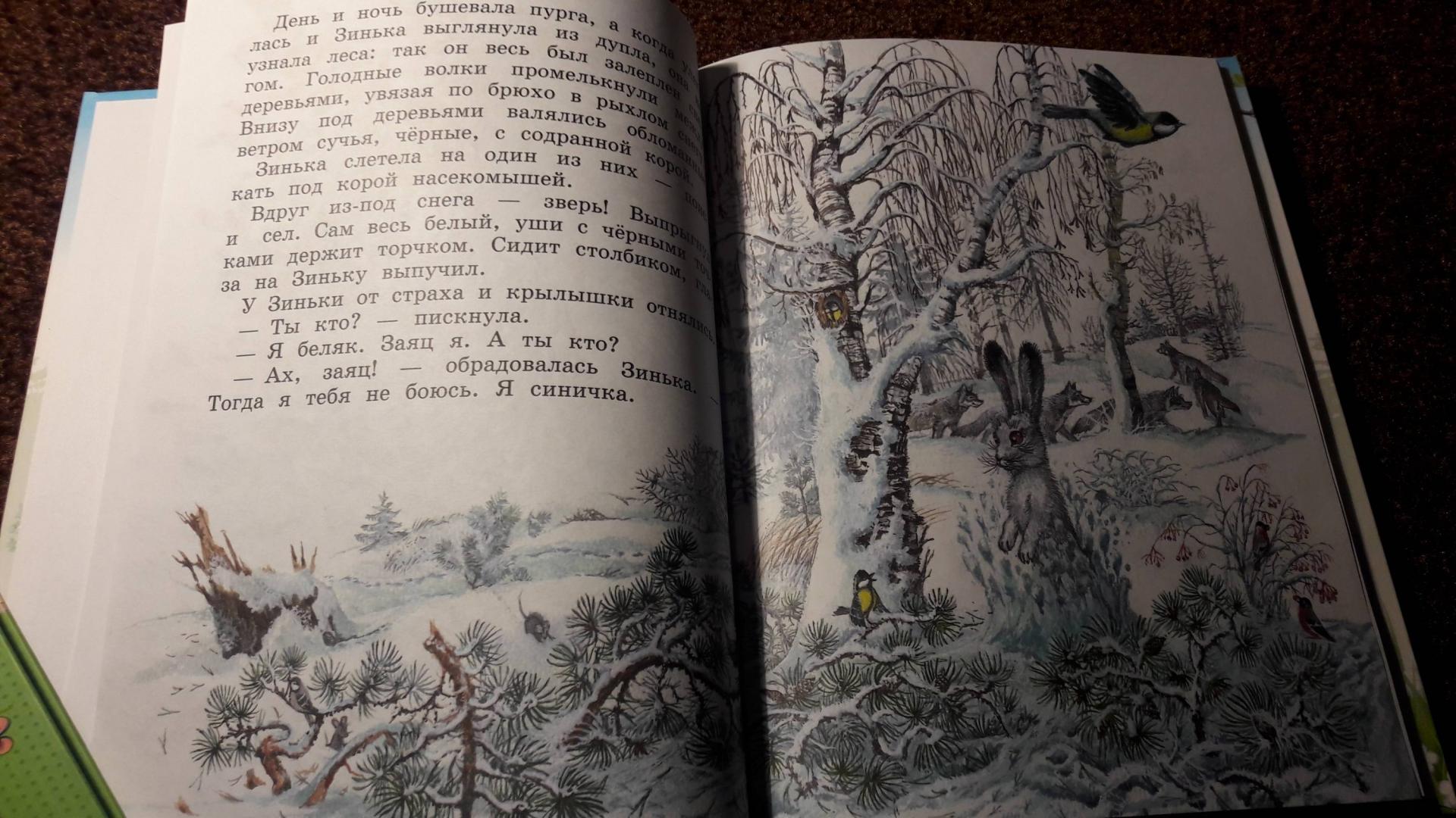 Иллюстрация 47 из 55 для Синичкин календарь - Виталий Бианки | Лабиринт - книги. Источник: Елена  Е.