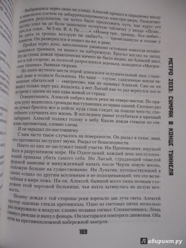 Иллюстрация 9 из 16 для Метро 2033: Сумрак в конце туннеля | Лабиринт - книги. Источник: Плешивцев  Илья