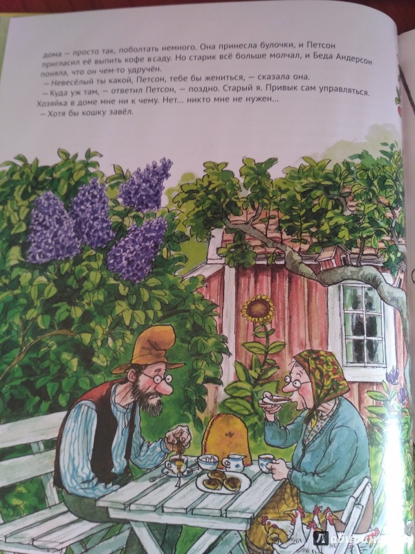 Иллюстрация 47 из 102 для История о том как Финдус потерялся, когда был маленьким - Свен Нурдквист | Лабиринт - книги. Источник: irinka_m