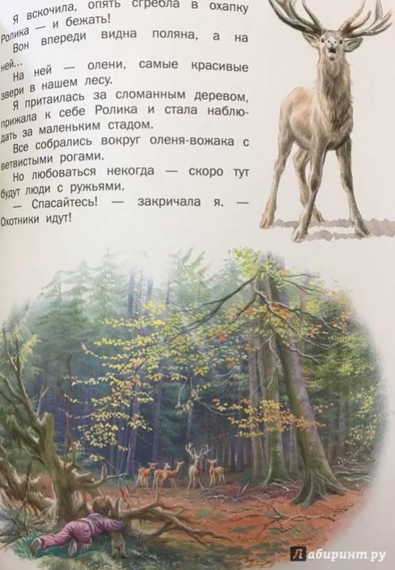 Иллюстрация 36 из 45 для Маруся - подружка всех зверят. В лесу. В деревне - Делаэ, Марлье | Лабиринт - книги. Источник: Фролова  Кристина Александровна