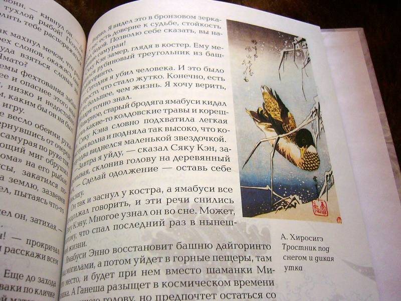 Иллюстрация 45 из 52 для Путь самурая - Александр Дорофеев | Лабиринт - книги. Источник: Nika