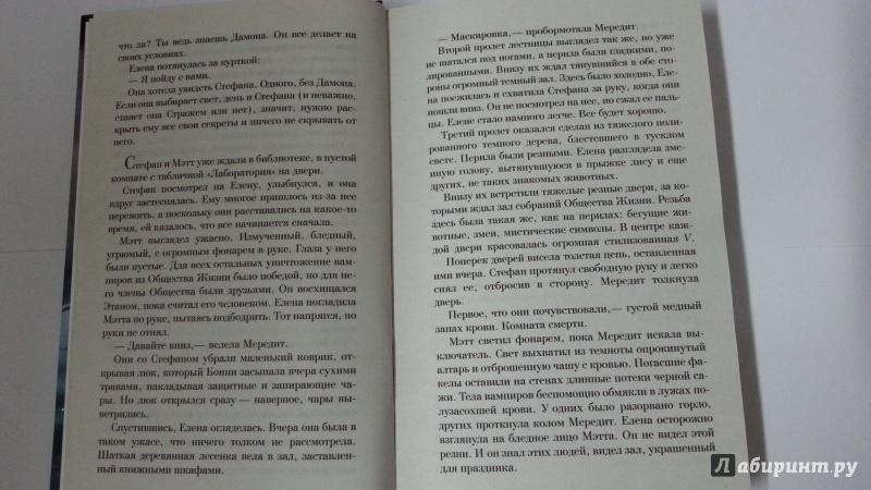 Иллюстрация 7 из 9 для Дневники вампира. Охотники. Поступь судьбы - Лиза Смит | Лабиринт - книги. Источник: Jesse