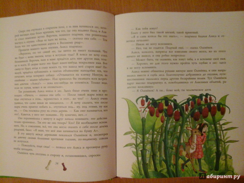 Иллюстрация 27 из 34 для Алиса в Зазеркалье - Льюис Кэрролл | Лабиринт - книги. Источник: Кострицына  Наталия Александровна