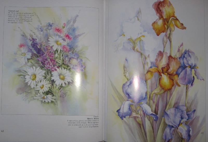 Иллюстрация 7 из 19 для Рисуем цветы акварелью - Вэнди Тейт | Лабиринт - книги. Источник: Читательница