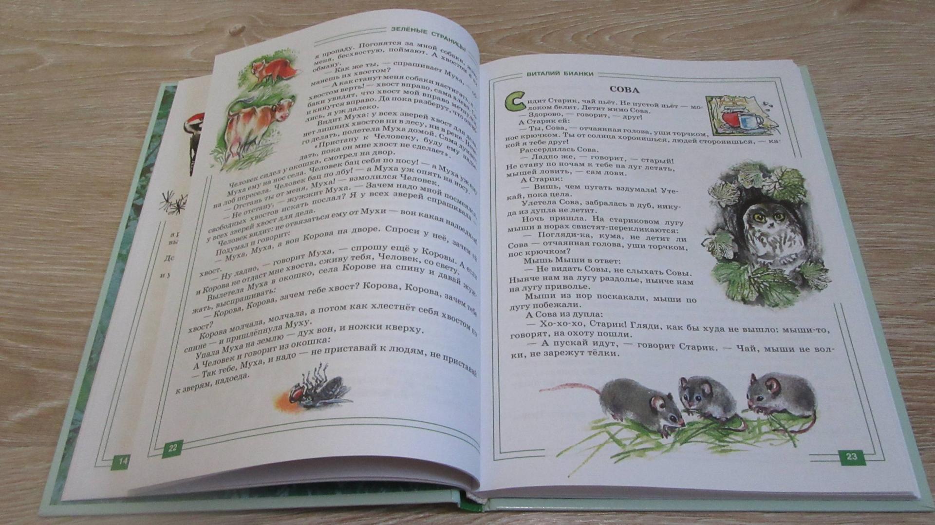 Читать зеленый мир. Зелёные страницы. Книги по экологии зеленые страницы. Хрестоматия по экологии для начальной школы. Зелёные страницы. Зеленые страницы хрестоматия для начальной школы.