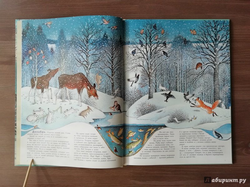Иллюстрация 72 из 109 для В лесу - Петр Багин | Лабиринт - книги. Источник: Гошева  Елена
