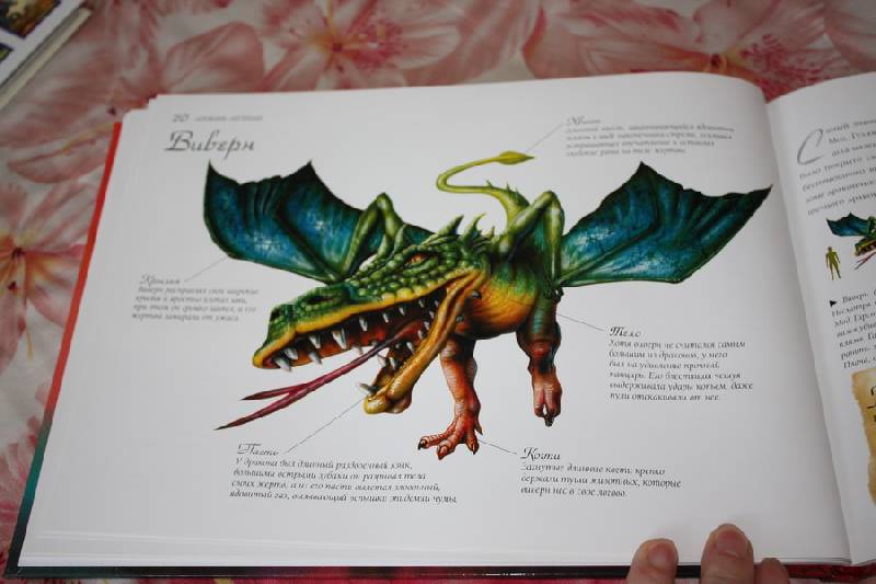 Иллюстрация 10 из 26 для Драконология | Лабиринт - книги. Источник: Шелковица