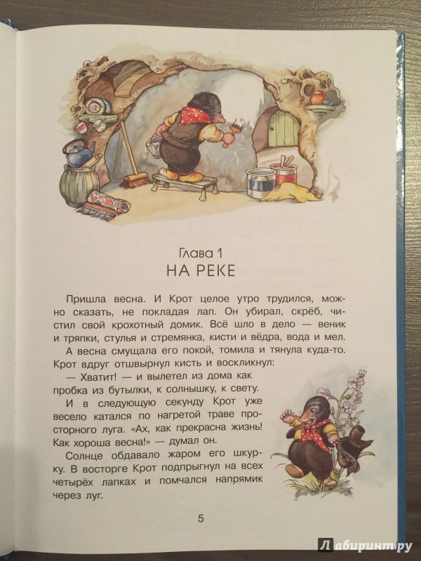 Иллюстрация 6 из 44 для Ветер в ивах - Кеннет Грэм | Лабиринт - книги. Источник: Умная Дуня