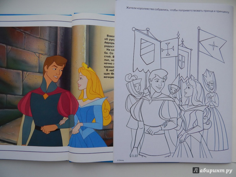 Иллюстрация 15 из 23 для Волшебная раскраска. Принцессы (№14007) | Лабиринт - книги. Источник: Мелкова  Оксана